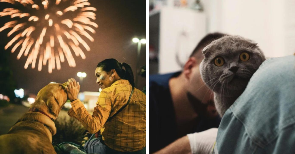 How to Keep Your Pet Calm During Thunderstorms and Fireworks