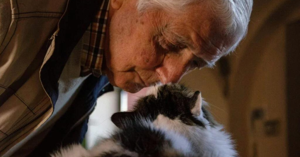 animal companionship and senior living