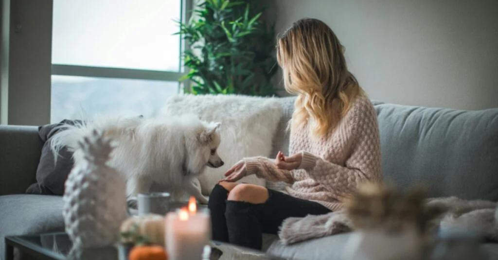 how pets sense our emotions