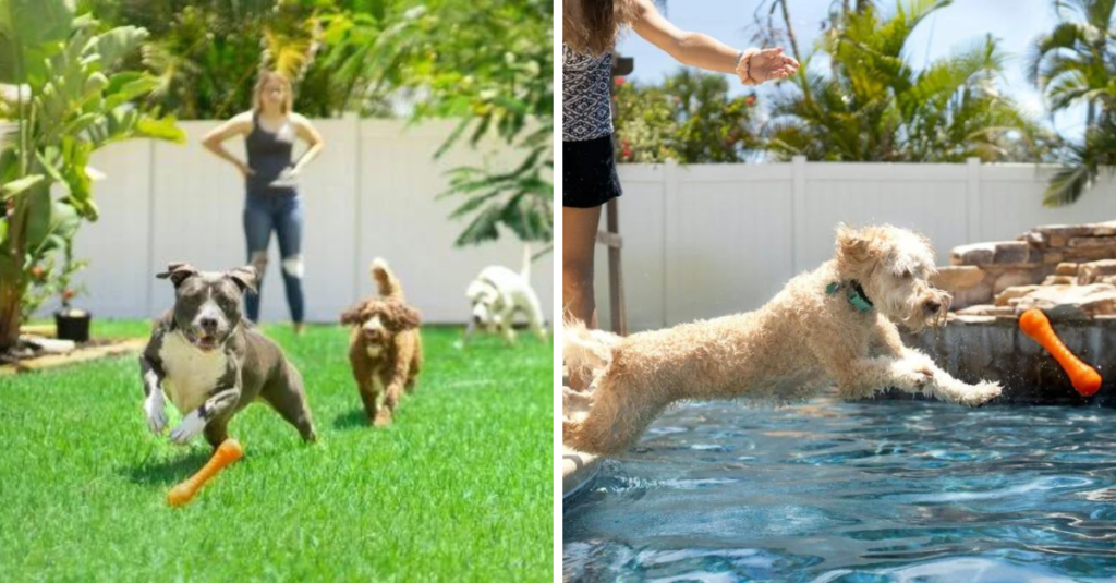 how to make your backyard pet friendly