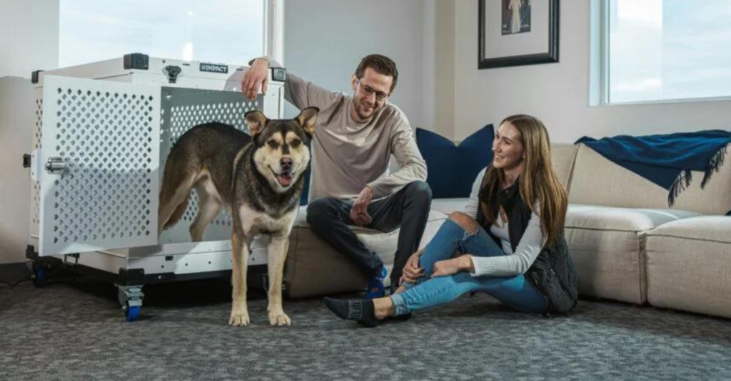 how to make your home more pet friendly